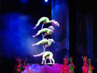 Acrobatics Beijing (4)